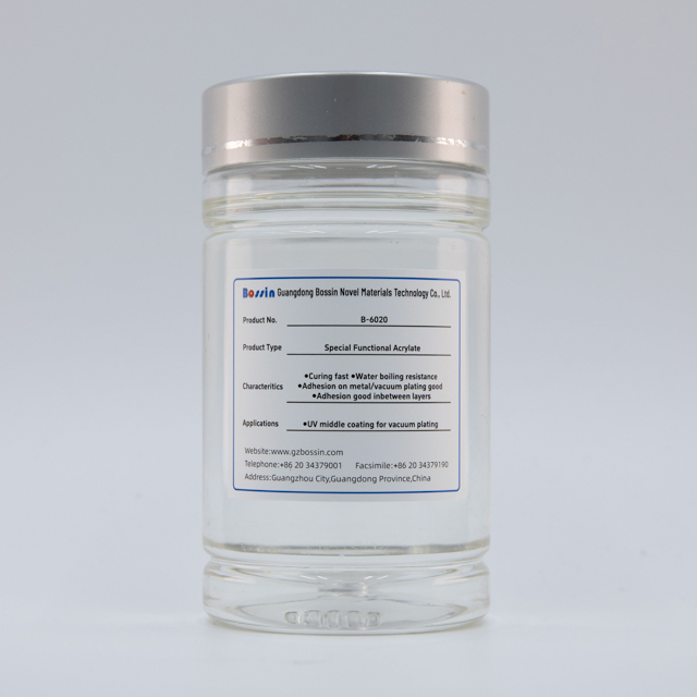 B-6020 Acrilato Funcional Especial