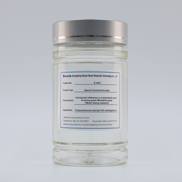 B-6019 Acrilato Funcional Especial